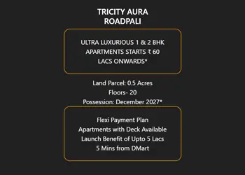 Tricity Aura Roadpali